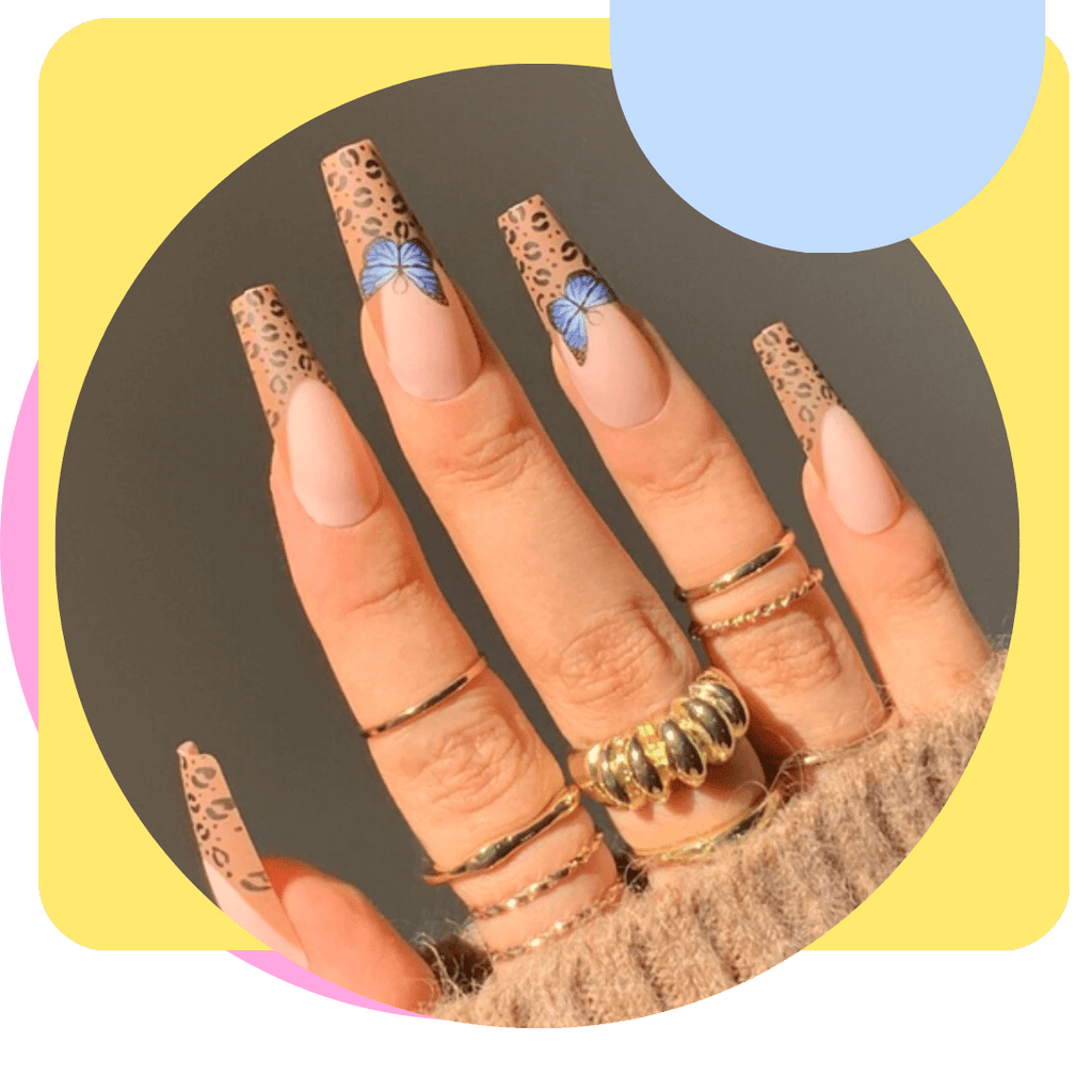 cheetah nail set